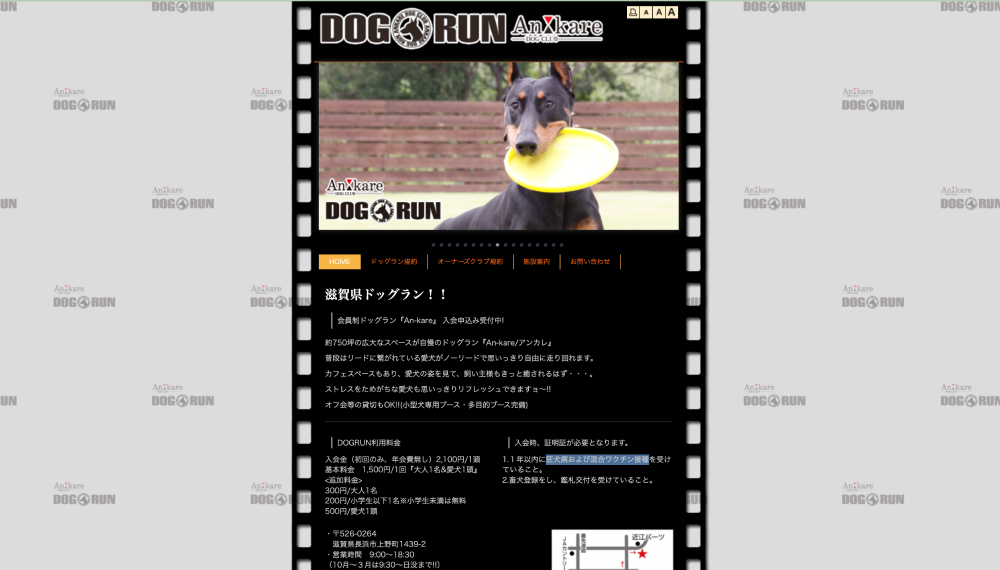 滋賀のドッグランおすすめランキングTOP5!広い公園やカフェ付きスポットを紹介