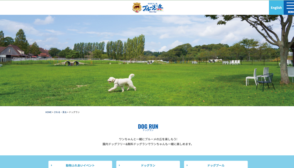 滋賀のドッグランおすすめランキングTOP5!広い公園やカフェ付きスポットを紹介